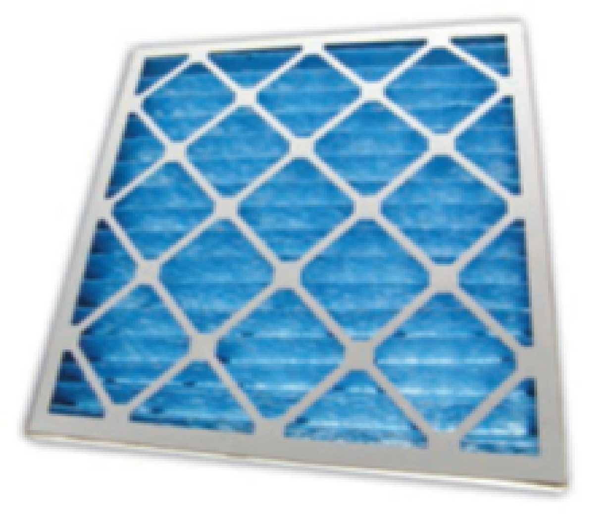 Pleated filter